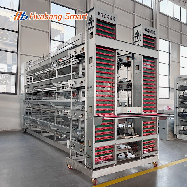 H Frame Automatic Layer Cages